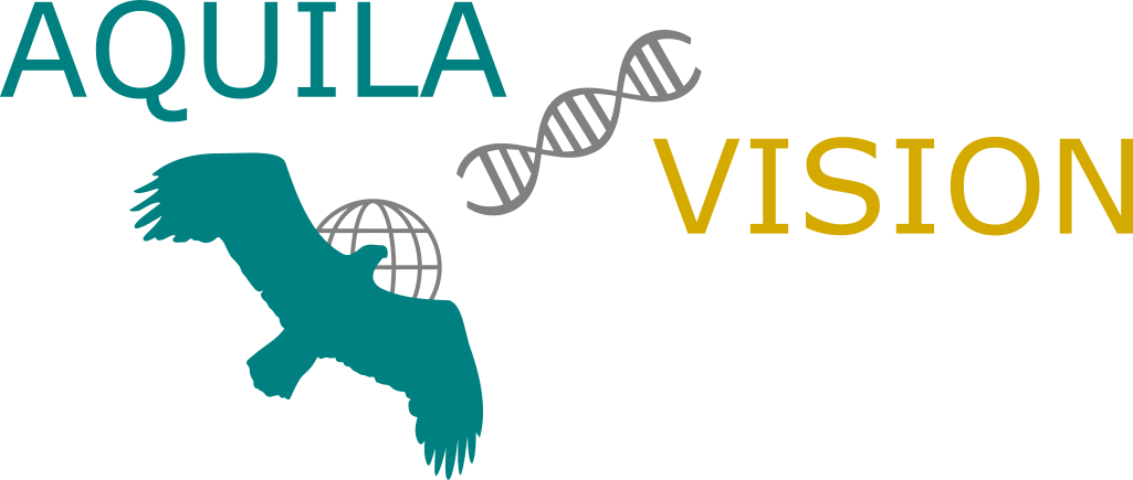 Aquila Vision